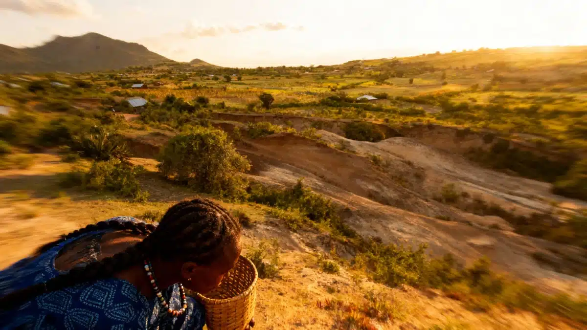 3-million-year-old tools: scientists stunned by who really created them